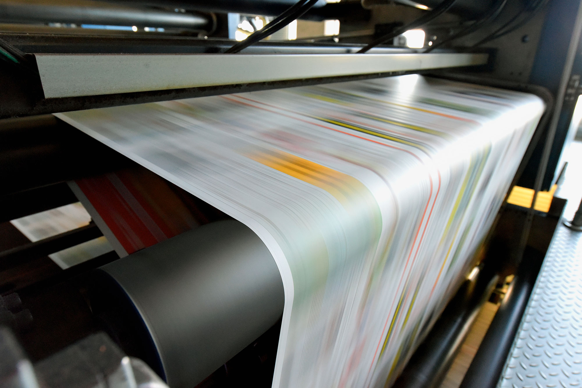 Packaging alimentare e industriale professionale